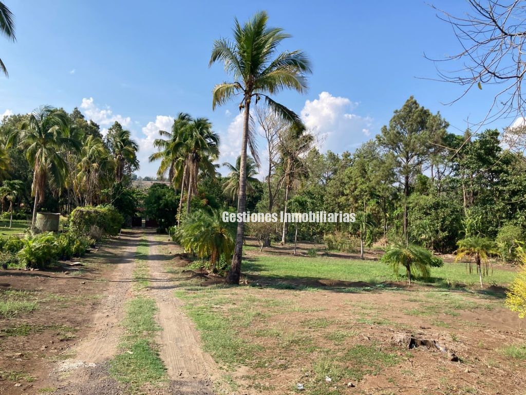 VENTA DE TERRENO EN CARRETERA A SONSONATE